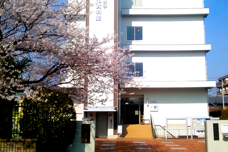 The International Research Center for Japanese Studies behind cherry blossoms