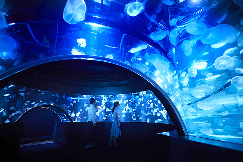 GURURI, a 360-degree panoramic aquarium with moon jellyfish floating