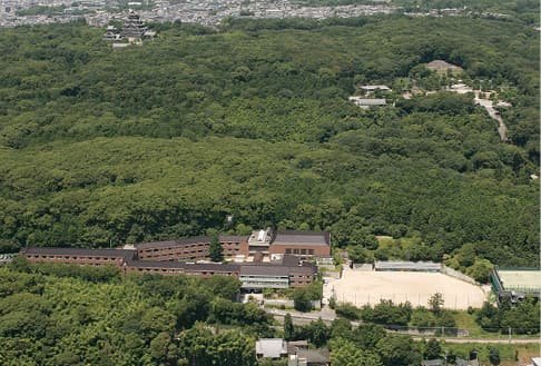 An aerial photograph of the area around the school building