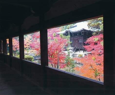A temple hall seen beyond autumn leaves