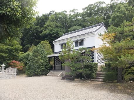 A white building standing before a grove of trees