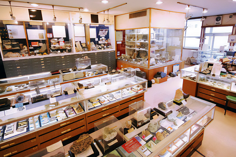 An exhibition room displaying mineral specimens