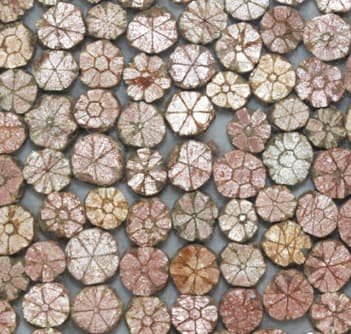 A flower-shaped mineral specimen