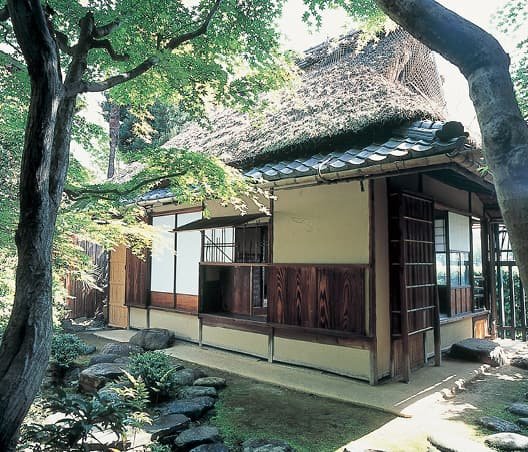 A thatched-roof house surrounded by trees
