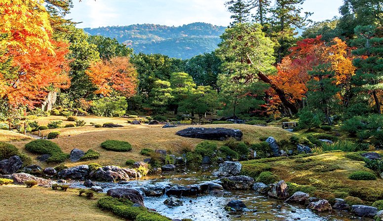 Murin-an (Modern Japanese garden)