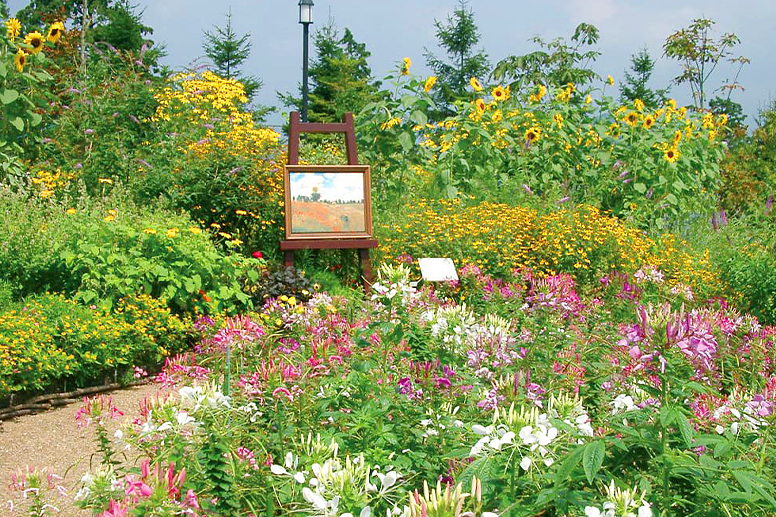 花壇に咲く色とりどりの花