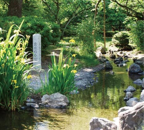 小川が流れる京都御苑の庭