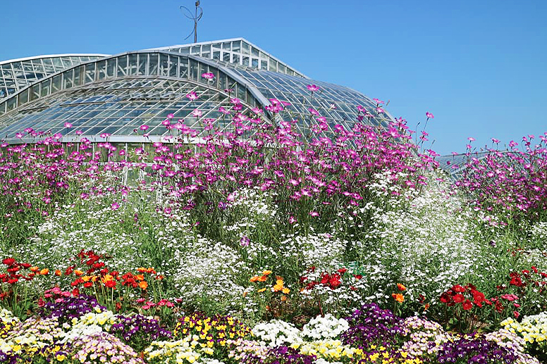 色とりどりの花壇越しに見える大温室