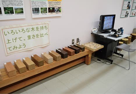 木の重さを比べる体験展示