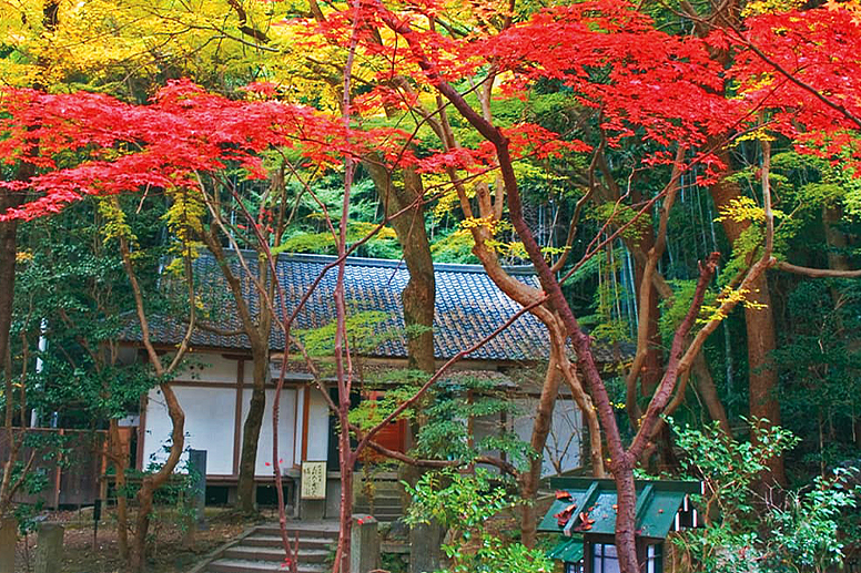 紅葉の中に建つ収蔵庫