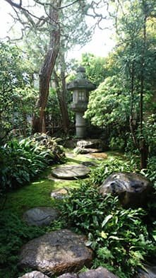 石灯籠が見える庭